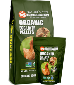 Best Organic Feeds