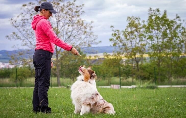 Pawsome Dog Training Centre